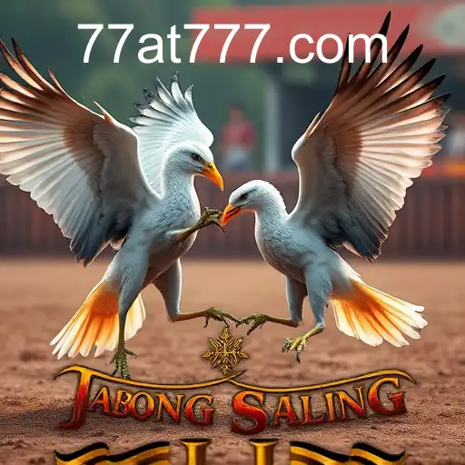 Sabong Online: A Nova Era dos Jogos de Galo na Plataforma 77at